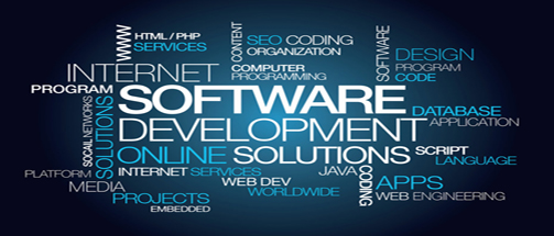 Software Online Development